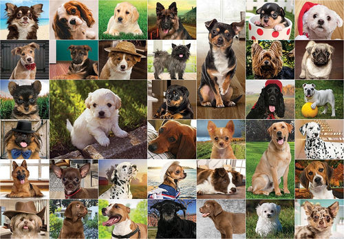 Dogs, Dogs, Dogs 1000 Jigsaw Puzzle